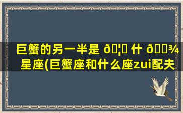 巨蟹的另一半是 🦍 什 🌾 么星座(巨蟹座和什么座zui
配夫妻)